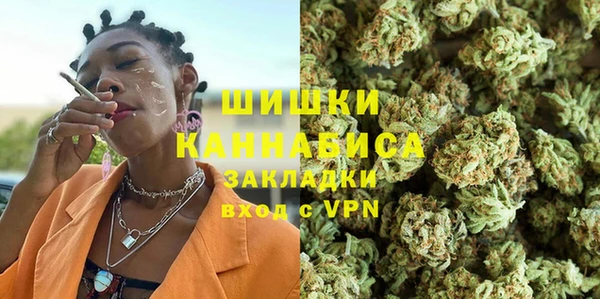 соль ск Новозыбков