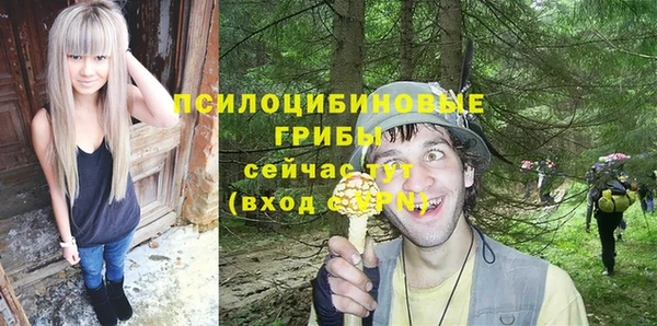дмт Алексеевка