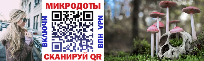 Псилоцибиновые грибы мухоморы Красково