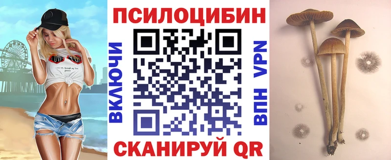 Псилоцибиновые грибы Psilocybe  omg вход  Красково 